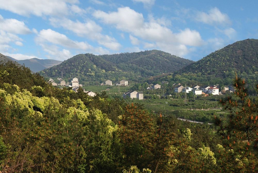 苏州树山村图片